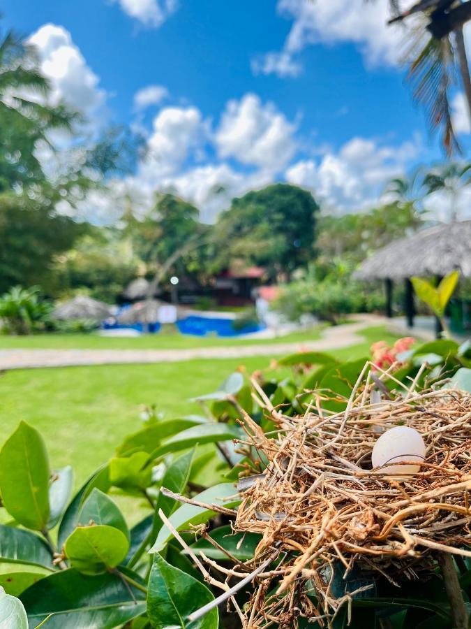 Hotel Rincon Rubi Las Galeras Exterior photo